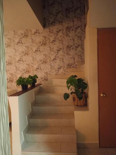 Zona TSM 2 habitaciones 2 camas 1 sofa cama circuito privado casa completa con todas las comodidades in 森德羅斯住宅區 Zona TSM 2 habitaciones 2 camas 1 sofa cama circuito privado casa completa con todas las comodidades in 森德羅斯住宅區