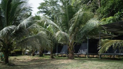 Mellow Camp kohkood in Ao Yai Ki Mellow Camp kohkood in Ao Yai Ki