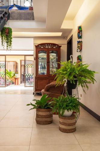 Brisas del Aeropuerto Airport Breezes inn in Heredia Brisas del Aeropuerto Airport Breezes inn in Heredia