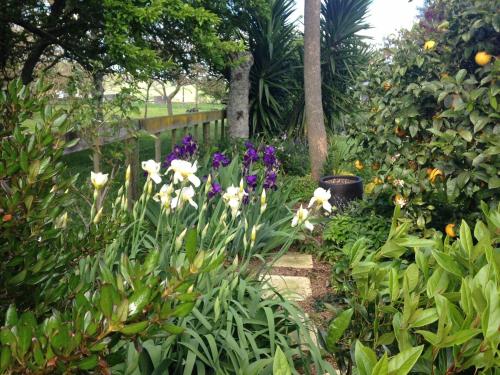 Cambridge Close to rowing, Velodrome, field days in Maungatautari Cambridge Close to rowing, Velodrome, field days in Maungatautari