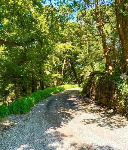 Old School House in Moyard Old School House in Moyard