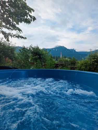 Glamping Ceahlau in Durau Glamping Ceahlau in Durau