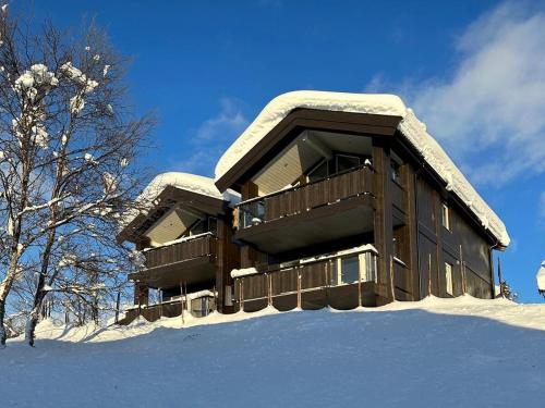 Bjelbølens stjernely in Beitostolen Bjelbølens stjernely in Beitostolen