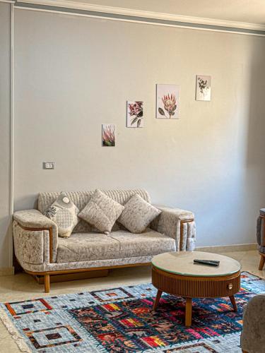 ElShrouk United Agency in Bani Sweif ElShrouk United Agency in Bani Sweif