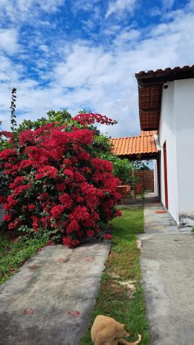 Hostel Flor de Ipê (Hostel Flor de Ipe) in 巴雷里尼亞斯 Hostel Flor de Ipê (Hostel Flor de Ipe) in 巴雷里尼亞斯