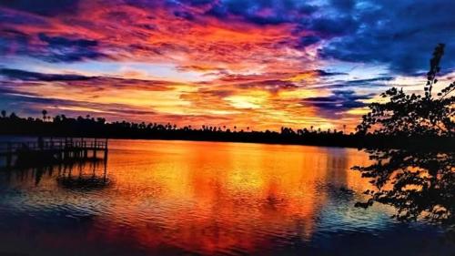 View, Bird Sanctuary Nature Park Army Welfare Resort and Tree House in Kilinochchi View, Bird Sanctuary Nature Park Army Welfare Resort and Tree House in Kilinochchi