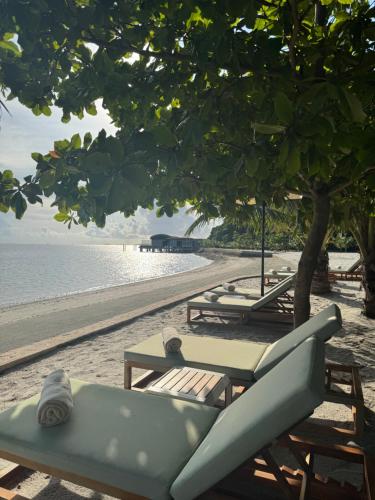 Beach, The Westin Nirup Island Resort & Spa in Sekupang Beach, The Westin Nirup Island Resort & Spa in Sekupang