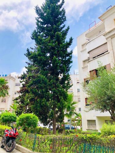Appartement a bnu tachfine in Casablanca Appartement a bnu tachfine in Casablanca