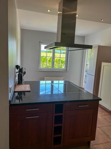 Villa am Weinberg mit Garten großzügig und exklusiv (Villa am Weinberg mit Garten großzugig und exklusiv) in Geisenheim Villa am Weinberg mit Garten großzügig und exklusiv (Villa am Weinberg mit Garten großzugig und exklusiv) in Geisenheim