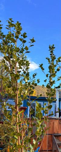 Piscina privada - Refugio silvestre - tinaja de bienvenida in Vilches Piscina privada - Refugio silvestre - tinaja de bienvenida in Vilches