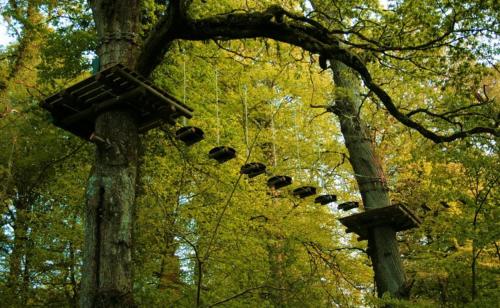 This photo about Rosdarrig Bed & Breakfast shared on HyHotel.com