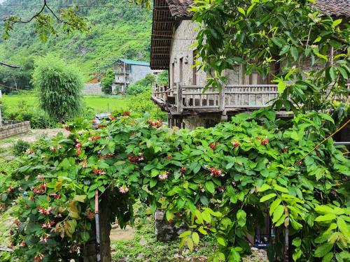 May Linh Homestay Ban Gioc Waterfall - Cao Bang in Dam Thuy May Linh Homestay Ban Gioc Waterfall - Cao Bang in Dam Thuy
