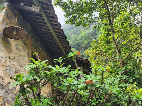 May Linh Homestay Ban Gioc Waterfall - Cao Bang in Dam Thuy May Linh Homestay Ban Gioc Waterfall - Cao Bang in Dam Thuy