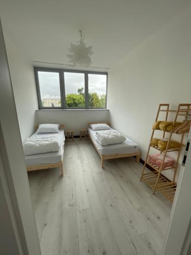 Apartament nad Żabką (Apartament nad Zabka) in Zamosc Városközpont Apartament nad Żabką (Apartament nad Zabka) in Zamosc Városközpont