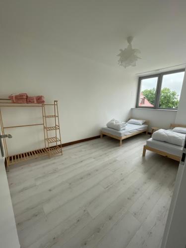 Apartament nad Żabką (Apartament nad Zabka) in Zamosc Városközpont Apartament nad Żabką (Apartament nad Zabka) in Zamosc Városközpont