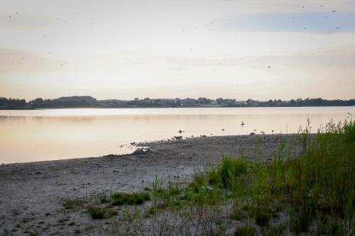 Domki letniskowe DAR-DOM in Powidz Domki letniskowe DAR-DOM in Powidz
