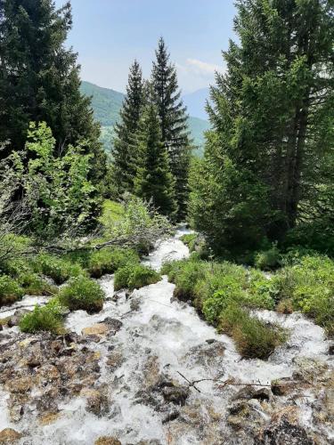 Plein sud, grande piece de vie, vue imprenable sur les montagnes et parking couvert prive in Montgellafrey Plein sud, grande piece de vie, vue imprenable sur les montagnes et parking couvert prive in Montgellafrey