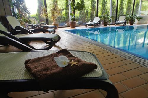 泳池, Margis Hotel & SPA in 特拉凱 泳池, Margis Hotel & SPA in 特拉凱