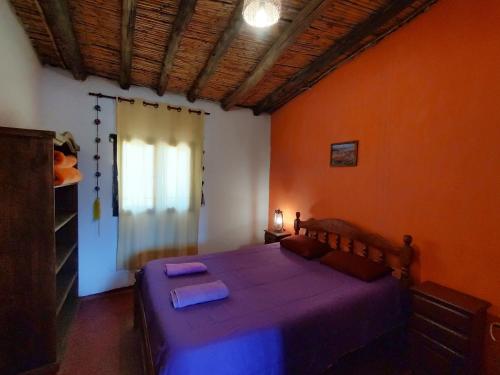 Nativas in Uquía Nativas in Uquía