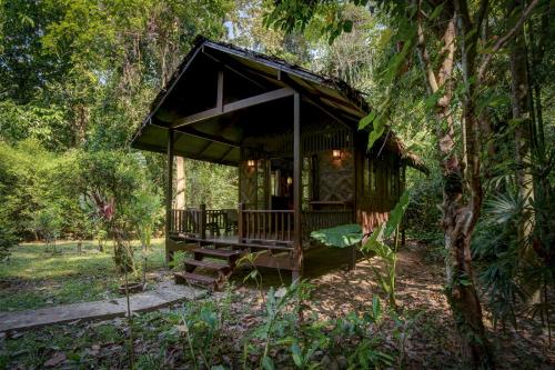 View, Our Jungle House in Khao Sok (Suratthani) View, Our Jungle House in Khao Sok (Suratthani)