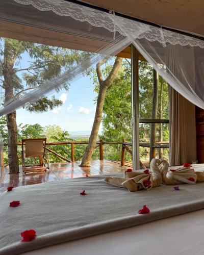 景觀, Foresight Eco Lodge & Safari in 卡拉圖 景觀, Foresight Eco Lodge & Safari in 卡拉圖