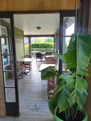 Auberge d'Anjou-Surya Cafe in Petit Rocher (NB) Auberge d'Anjou-Surya Cafe in Petit Rocher (NB)