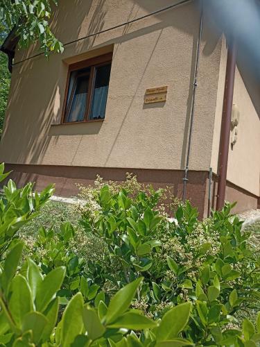 Őrségi Kuckó (Orsegi Kucko) in Hegyhatszentjakab Őrségi Kuckó (Orsegi Kucko) in Hegyhatszentjakab