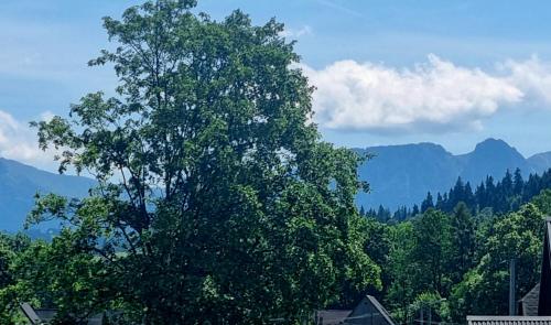 Kilátás, Apartament u Ani in Ciche Kilátás, Apartament u Ani in Ciche