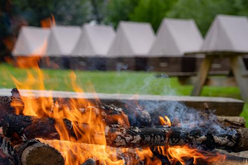 Stylový kemp pro skupinu v horách u koní - Omega (Stylovy kemp pro skupinu v horach u koni - Omega) in Sobotin Stylový kemp pro skupinu v horách u koní - Omega (Stylovy kemp pro skupinu v horach u koni - Omega) in Sobotin