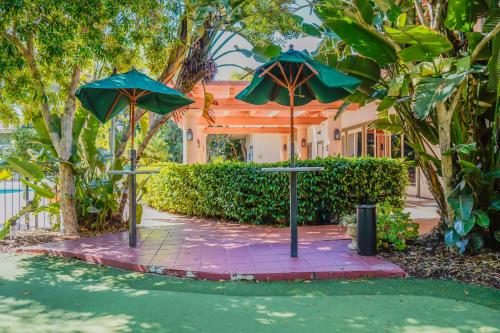 A szálláshely kívülről, Uptown Oasis San Jose Airport in San Jose (Kalifornia) A szálláshely kívülről, Uptown Oasis San Jose Airport in San Jose (Kalifornia)