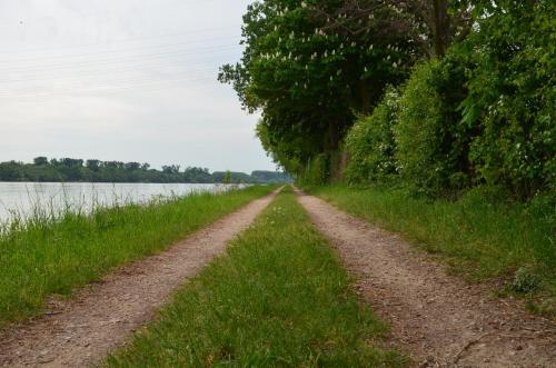 This photo about Zwei Raben Pension shared on HyHotel.com