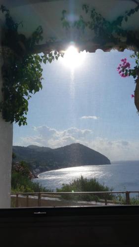 La Casa di Tina in Sant'Angelo La Casa di Tina in Sant'Angelo