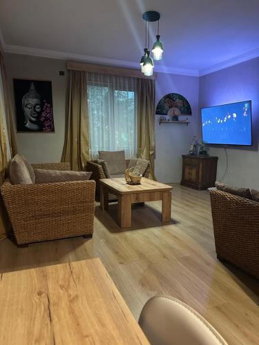 Aragvi Riverside in Ananuri Aragvi Riverside in Ananuri