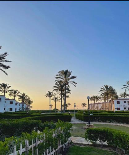 شاليهات قريه سما العريش in Al Arish شاليهات قريه سما العريش in Al Arish