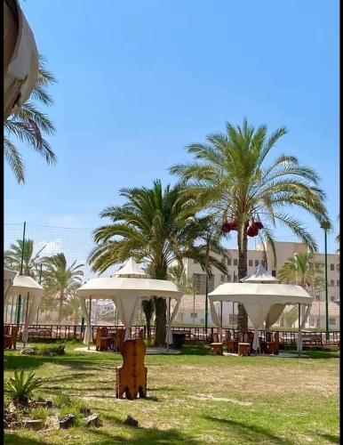 شاليهات قريه سما العريش in Al Arish شاليهات قريه سما العريش in Al Arish