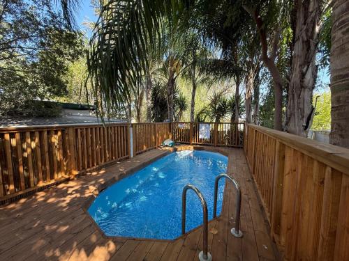 Zimergia in Livnim Zimergia in Livnim