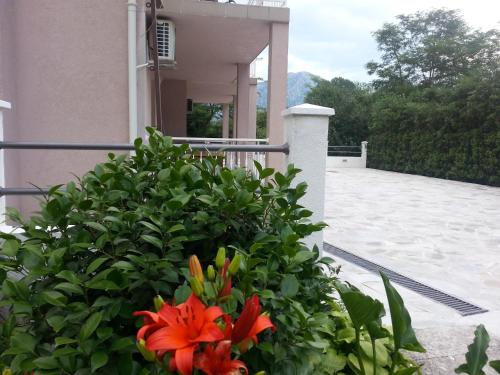 المرافق, Apartments Lalevic in كوستانجيكا المرافق, Apartments Lalevic in كوستانجيكا