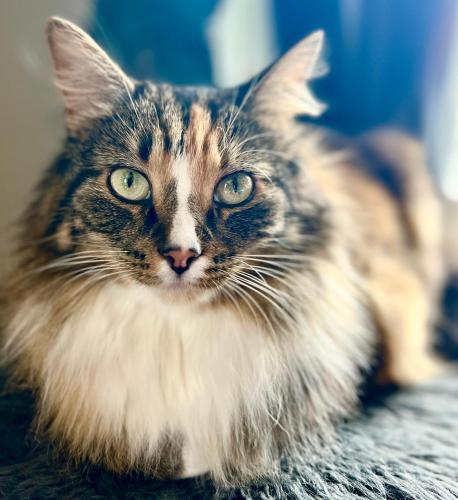 Vintage apartment with fresh sea air and pets in Крістіансунд Vintage apartment with fresh sea air and pets in Крістіансунд