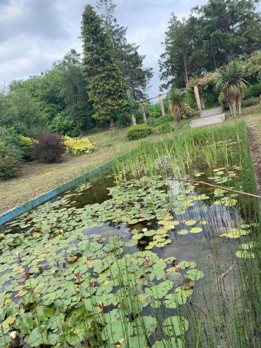 Celtic Park in อเดร์ Celtic Park in อเดร์