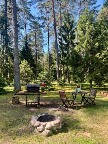 Rojaus Slenis in 加斯肯尼斯 Rojaus Slenis in 加斯肯尼斯