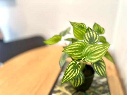 Portside Escape - Hotel Quality Linen in Lyttelton Portside Escape - Hotel Quality Linen in Lyttelton