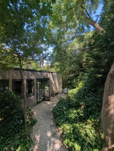 Best of both worlds, trees & town in Kelet-Cam Best of both worlds, trees & town in Kelet-Cam