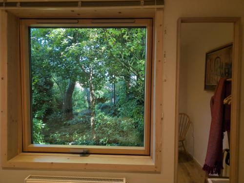 Best of both worlds, trees & town in Kelet-Cam Best of both worlds, trees & town in Kelet-Cam