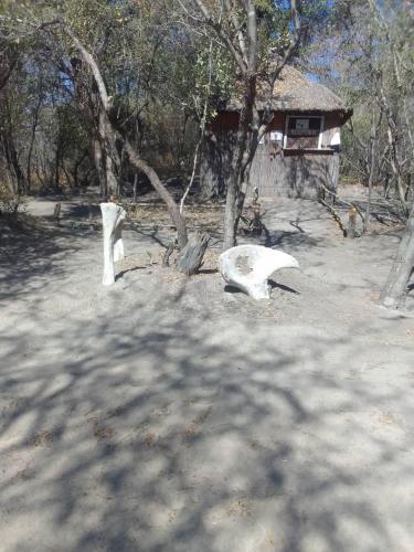 Kayubo Campsite in 孔戈拉 Kayubo Campsite in 孔戈拉