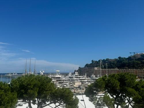 Exclusive Apartment In The Heart Of Monaco in Quartier du Port Exclusive Apartment In The Heart Of Monaco in Quartier du Port
