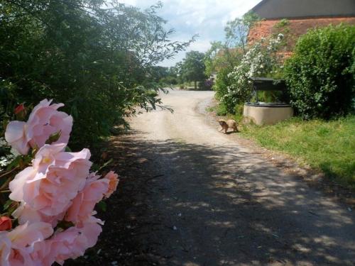 Gîte familial avec piscine et wifi proche Souvigny - FR-1-489-231 (Gite familial avec piscine et wifi proche Souvigny - FR-1-489-231) in Souvigny Gîte familial avec piscine et wifi proche Souvigny - FR-1-489-231 (Gite familial avec piscine et wifi proche Souvigny - FR-1-489-231) in Souvigny