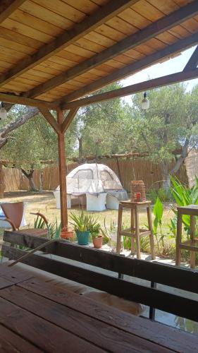 Olive Qeparo Fushe Camping in Qazim Pali Olive Qeparo Fushe Camping in Qazim Pali