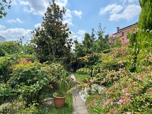 Chez Tosca in Treviso Chez Tosca in Treviso