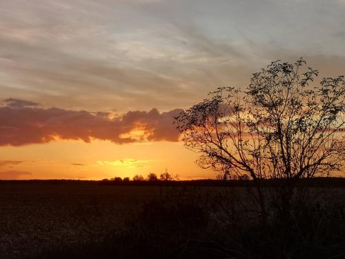 منظر, Domek na łące (Domek na lace) in Stare Jeżewo منظر, Domek na łące (Domek na lace) in Stare Jeżewo