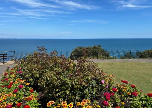 A környék, Headland View Boutique B&B in Babbacombe A környék, Headland View Boutique B&B in Babbacombe